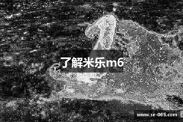 了解米乐m6